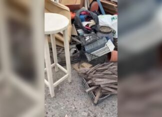 Α. Κολιάδης για το Ροδίνι: Παρέμβαση για την προστασία του χώρου