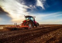 Το TikTok «σώζει» τους αγρότες – Πώς το «πρωτεϊνικό ψωμί» των influencers έγινε η ελπίδα