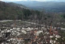 Ρόδος: Οι άνθρωποι που διέσωσαν τουρίστες και έσβηναν τις φλόγες στη μεγάλη φωτιά