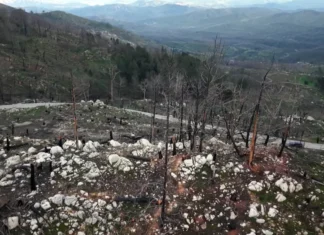 Ρόδος: Οι άνθρωποι που διέσωσαν τουρίστες και έσβηναν τις φλόγες στη μεγάλη φωτιά