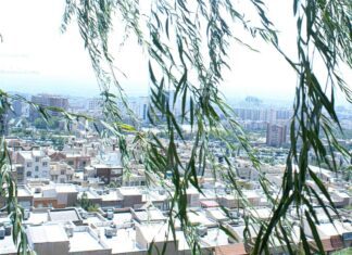 Πόσα δέντρα βλέπετε από το μπαλκόνι σας; Ο κανόνας 3-30-300 και το «πράσινο» ταξικό χάσμα