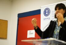 Ο θεσμός της Ευρωπαϊκής Εισαγγελίας και το Σύνταγμα: Μια λεπτή ισορροπία