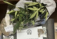 Συλλήψεις στη Ρόδο για ναρκωτικά και οπλοκατοχή μετά από στοχευμένη επιχείρηση της Αστυνομίας