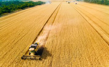 «Αγροδιατροφική καταστροφή» – Οι αυξήσεις στα τρόφιμα λόγω Ορμούζ θα διαρκέσουν χρόνια, προειδοποιεί ο ΟΗΕ