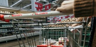 ΤτΕ: Ποιοι παράγοντες «ταΐζουν» τον πληθωρισμό – Τι να περιμένουμε από εδώ κι εμπρός