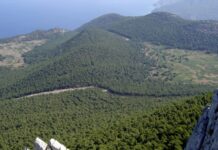 Επεκτείνεται για πέντε χρόνια το ερευνητικό έργο του Πανεπιστημίου Αιγαίου στην Κυμισάλα