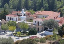Αναδάσωση στην Παναγία Υψενή από τον Δικηγορικό Σύλλογο Ρόδου την Κυριακή 10 Μαΐου