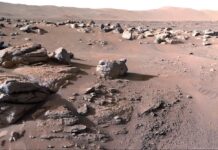 Τα ρομπότ της NASA δεν ήταν πλήρως αποστειρωμένα – Μπορεί μια γήινη μούχλα να μόλυνε τον Άρη;