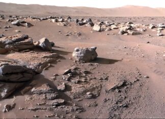 Τα ρομπότ της NASA δεν ήταν πλήρως αποστειρωμένα – Μπορεί μια γήινη μούχλα να μόλυνε τον Άρη;