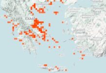 Μωβ μέδουσες: Αυξημένη προσοχή και στα νερά της Ρόδου