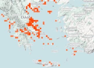 Μωβ μέδουσες: Αυξημένη προσοχή και στα νερά της Ρόδου