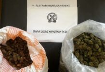 Δύο υποθέσεις ναρκωτικών εξιχνίασε η Δίωξη Ναρκωτικών Ρόδου – Κατασχέθηκαν πάνω από 750 γραμμάρια κάνναβης