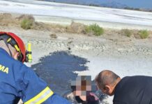 Επιχείρηση διάσωσης στην Αλυκή – Η Πυροσβεστική απεγκλώβισε γυναίκα από δύσβατο σημείο