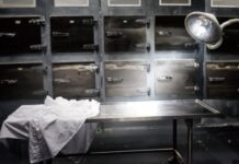 Επιστολή «κόλαφος» 22 ιατροδικαστών εκθέτει το Υπουργείο Δικαιοσύνης και τις μεθοδεύσεις για την «τεχνητή νοημοσύνη»