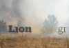 Φωτιά τώρα στην Οινούσσα Σερρών, 112 για εκκένωση του οικισμού