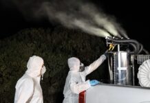 Ιός του Δυτικού Νείλου: «Καμπανάκι» από τον ΕΟΔΥ – Οι συστάσεις των ειδικών και τα συμπτώματα