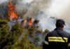 Πρωταθλήτρια Ευρώπης στους πυροσβέστες η Ελλάδα, αλλά μόνο στα χαρτιά – Τι συμβαίνει πραγματικά;