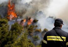 Πρωταθλήτρια Ευρώπης στους πυροσβέστες η Ελλάδα, αλλά μόνο στα χαρτιά – Τι συμβαίνει πραγματικά;