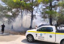 Συναγερμός στη Σορωνή για πυρκαγιά – Άμεση επέμβαση Πυροσβεστικής και εθελοντικών ομάδων, υπό διερεύνηση τα αίτια
