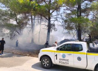 Συναγερμός στη Σορωνή για πυρκαγιά – Άμεση επέμβαση Πυροσβεστικής και εθελοντικών ομάδων, υπό διερεύνηση τα αίτια