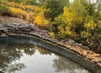 Η φυσική ομορφιά της λίμνης στο άλσος του Αγίου Σουλά