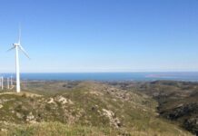 Το «πράσινο φως» έλαβε η επέμβαση στη δασική έκταση του «Πελεκάνου» για ενεργειακό έργο