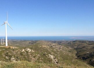 Το «πράσινο φως» έλαβε η επέμβαση στη δασική έκταση του «Πελεκάνου» για ενεργειακό έργο