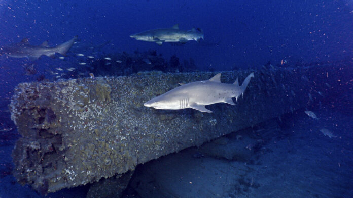 Exchange Sunken Warship