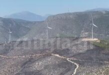 Αυτοψία της «Ζούγκλας» στις ανεμογεννήτριες από τις οποίες ξεκίνησε η καταστροφή