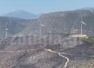 Αυτοψία της «Ζούγκλας» στις ανεμογεννήτριες από τις οποίες ξεκίνησε η καταστροφή