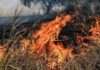 Κόκκινος συναγερμός για πυρκαγιές στο Νότιο Αιγαίο το Σάββατο