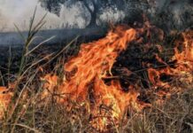 Κόκκινος συναγερμός για πυρκαγιές στο Νότιο Αιγαίο το Σάββατο