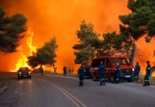 Mega fire στην Αττικοβοιωτία: Ίση με 6 βόμβες της Χιροσίμα η ενέργεια από τη φωτιά – «Κατάπινε» 2.800 στρέμματα την ώρα