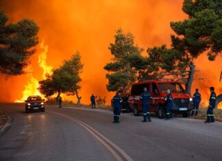 Mega fire στην Αττικοβοιωτία: Ίση με 6 βόμβες της Χιροσίμα η ενέργεια από τη φωτιά – «Κατάπινε» 2.800 στρέμματα την ώρα
