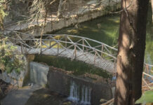 Ρόδος: Το ΕΛΚΕΘΕ «βάζει στο μικροσκόπιο» το Ροδίνι – Έρευνα για τη βιοποικιλότητα και τα χωροκατακτητικά είδη