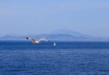 Καιρός: Μικρή πτώση της θερμοκρασίας με βροχές και καταιγίδες στα ηπειρωτικά – Πότε επιστρέφει η ζέστη