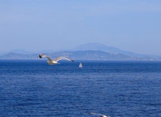 Καιρός: Μικρή πτώση της θερμοκρασίας με βροχές και καταιγίδες στα ηπειρωτικά – Πότε επιστρέφει η ζέστη