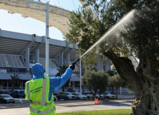 Ιός Δυτικού Νείλου: 290 κρούσματα και 24 θάνατοι στην Ελλάδα – Οι περιοχές υψηλού κινδύνου