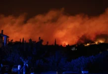 Τέσσερις συλλήψεις για πρόκληση πυρκαγιών σε Ρόδο, Τρίκαλα, Πάρο και Χαλκιδική