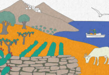 Train the Farmer: Εκπαιδευτικό πρόγραμμα για τον αγροτουρισμό από τον νέο θεσμό «South Aegean Open Farm Days 2026»