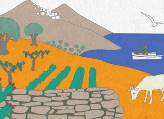 Train the Farmer: Εκπαιδευτικό πρόγραμμα για τον αγροτουρισμό από τον νέο θεσμό «South Aegean Open Farm Days 2026»