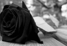 Θλίψη στη Ρόδο για την απώλεια του συνταξιούχου ιατρού Μιχαήλ Πομπού